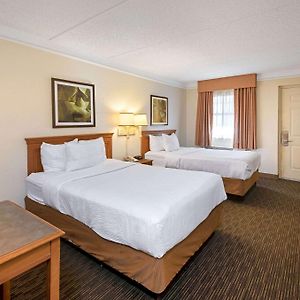 Standard Room Two Double Beds